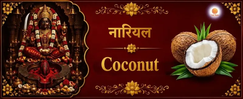 Coconat