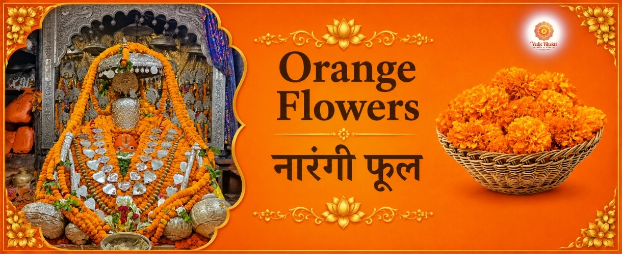 Orenge Flower