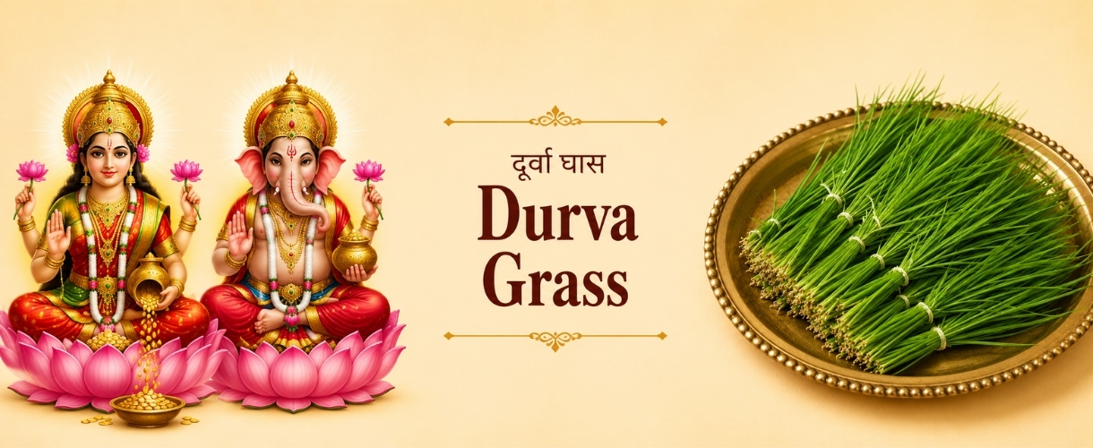 Durva Grass