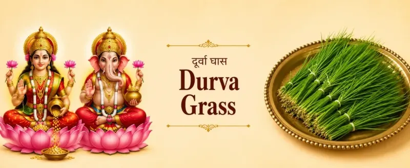 Durva Grass