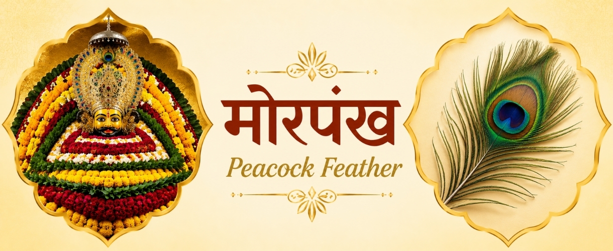 Peacock Feather