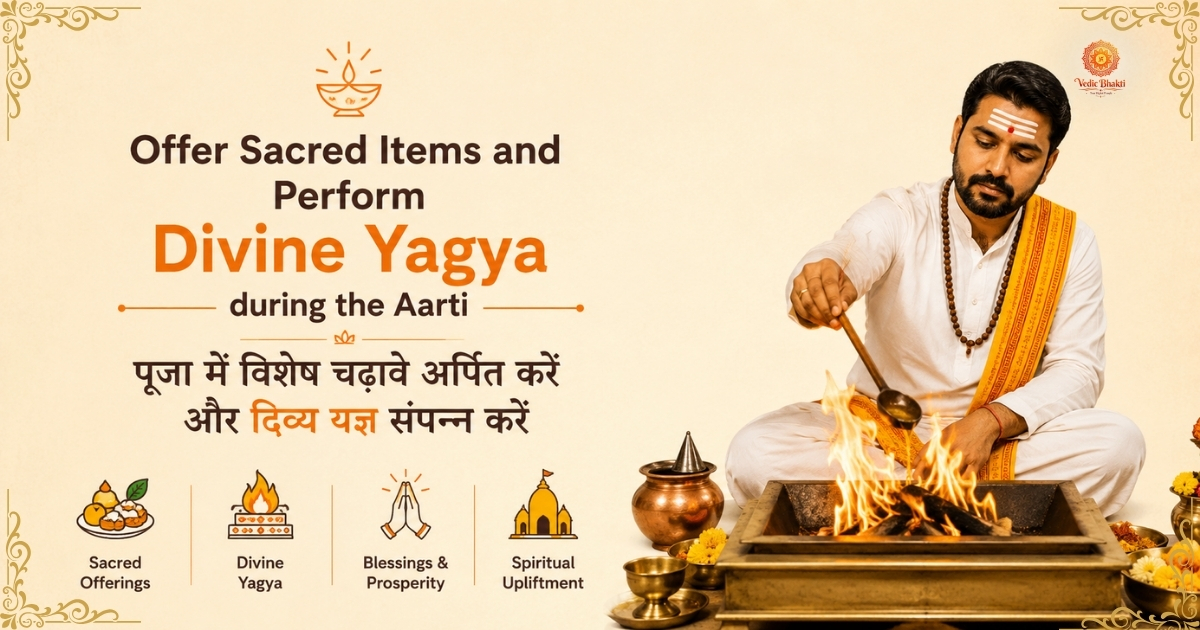 Divine virtuous service in Kashi - Cow Service thumbnail 2