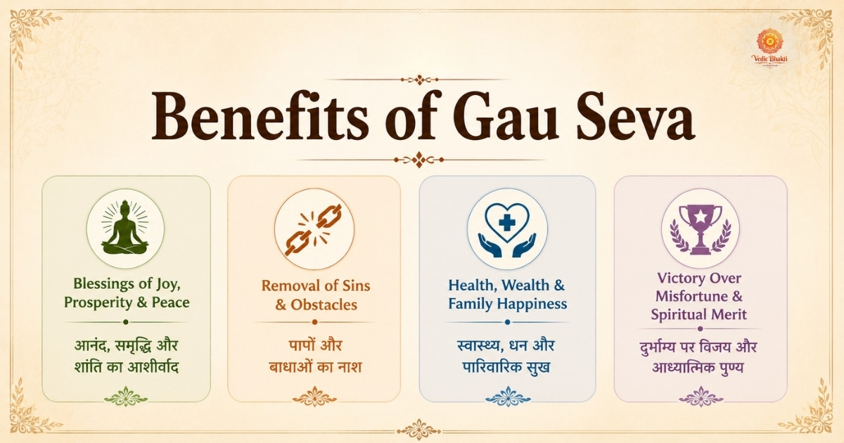 Divine virtuous service in Kashi - Cow Service thumbnail 5